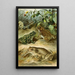 Bufo vulgaris Bufo viridis Bufo calamita Alytes obstetricans - Bruno Drigen — framed artwork on a wall