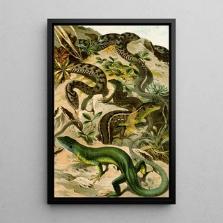 Bruno Drigen - Vipera aspis Lacerta viridis.webp