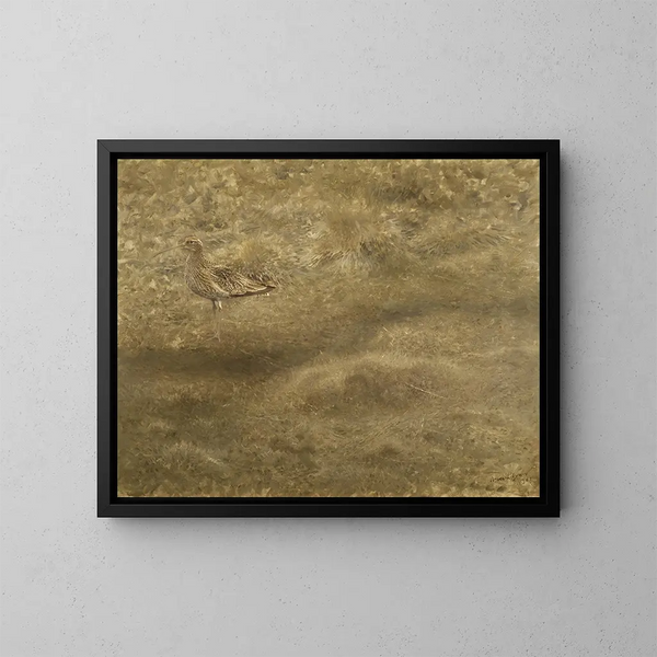 Courlis cendré - Bruno Liljefors — framed artwork on a wall