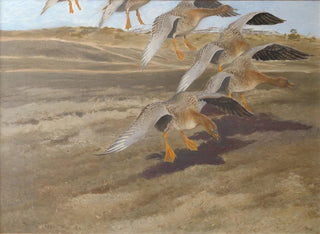 Bruno Liljefors - Wild Geese.webp