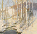 Calma de invierno - Frederick John Mulhaupt — vista de la obra