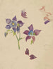 Flower Study - Carel Adolph Lion Cachet — artwork view