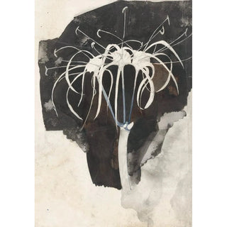 Carel Adolph Lion Cachet - Studie van kamperfoelie.webp