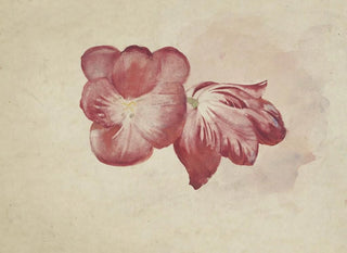 Carel Adolph Lion Cachet - Twee rode tulpen.webp