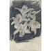 Lys blancos - Carel Adolph Lion Cachet — vista de la obra