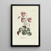 Cyclamen - Carington Bowles — cuadro enmarcado en la pared
