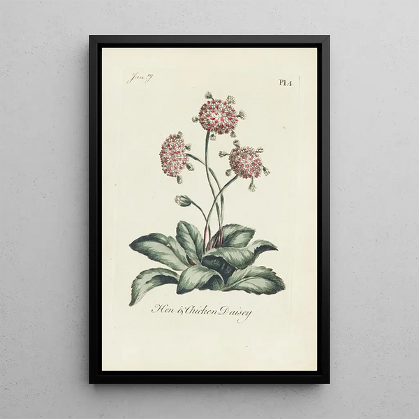 Marguerite gallina y pollito - Carington Bowles — cuadro enmarcado en la pared