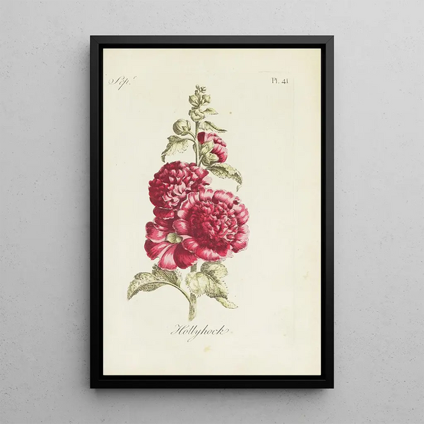 de Malva - Carington Bowles — cuadro enmarcado en la pared