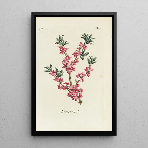 Bois-joli - Carington Bowles — cuadro enmarcado en la pared