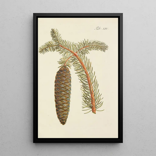 Ilustración de los árboles salvajes, de las plantas perennes y de los arbustos Pl014 - Carl Christoph Oelhafen von Schöllenbach — cuadro enmarcado en la pared