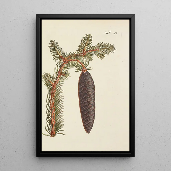 Ilustración de los árboles salvajes, de las plantas perennes y de los arbustos Pl015 - Carl Christoph Oelhafen von Schöllenbach — cuadro enmarcado en la pared