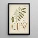 Ilustración de los árboles salvajes, de las plantas perennes y de los arbustos Pl077 - Carl Christoph Oelhafen von Schöllenbach — cuadro enmarcado en la pared