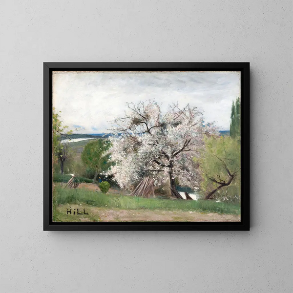 Árbol frutal en flor - Carl Fredrik Hill — cuadro enmarcado en la pared