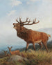 A roaring stag - Carl Friedrich Deiker — artwork view