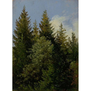 Carl Gustav Carus - Tannen.webp