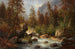 Scene near Waldbachstrub near Hallstatt - Carl Hasch — artwork view