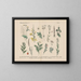 Manuel de botanique pratique en mots et en images Pl41 - Carl Hoffmann — cuadro enmarcado en la pared