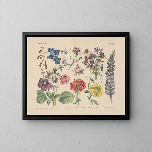 Manuel de botanique pratique en mots et en images Pl54 - Carl Hoffmann — cuadro enmarcado en la pared