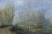Los alisos del Danubio - Carl Kaiser-Herbst — vista de la obra