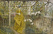 La Vigne - Carl Larsson — vista de la obra