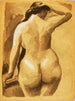 Vue arrière d'une femme nue - Carl Newman — artwork view