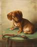 Un cachorro teckel - Carl Reichert — vista de la obra
