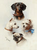 an eclectic crew - Carl Reichert — artwork view