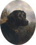 Hector - Carl Reichert — vista de la obra