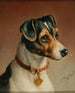 Retrato de un Jack Russell Terrier - Carl Reichert — vista de la obra