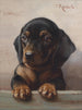 Young Dachshund - Carl Reichert — artwork view