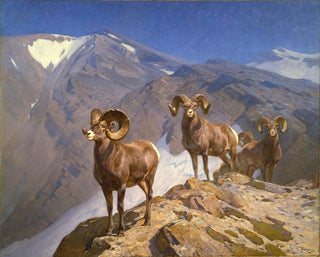 Carl Rungius - The Mountaineers  Big Horn Sheep on Wilcox Pass.webp