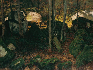 Carl Schuch - Waldinneres bei Saut du Doubs.webp