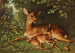 A doe with fawn - Carl Schweninger Jr — artwork view