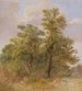 Estudio de los árboles - Carl Spitzweg — vista de la obra