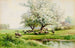 Paisaje pastoral - Carl Weber — vista de la obra