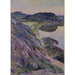 La ruta de Bgevik - Carl Wilhelmson — vista de la obra