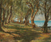 Olivar junto al lago de Garda - Carlo Brioschi — vista de la obra