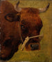 Estudio de la cabeza de una vaca - Carlo Dalgas — vista de la obra
