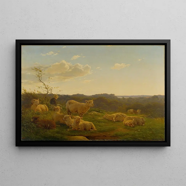 Carlo Dalgas - Sheep on a hill near Skarrids.webp