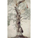 Estudio de un árbol - Caspar Scheuren — vista de la obra