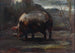 Estudio de cerdito - Cesare Viazzi — vista de la obra