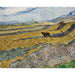 Reproducción del cuadro con campo cerrado y labrador - Vincent van Gogh