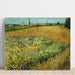 Reproducción del cuadro Campo de trigo - Vincent van Gogh