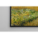 Reproducción del cuadro Campo de trigo - Vincent van Gogh