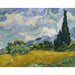 Reproducción del cuadro Campo de trigo con cipreses - Vincent van Gogh