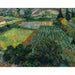 Reproducción del cuadro Campo de amapolas - Vincent van Gogh