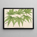 Acer palmatum reticulatum - Charles Antoine Lemaire — cuadro enmarcado en la pared