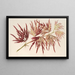 Acer polymorphum palmatum - Charles Antoine Lemaire — framed artwork on a wall