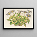 Agave celeste con hojas variegadas - Charles Antoine Lemaire — cuadro enmarcado en la pared