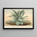 Agave Verschaffelti - Charles Antoine Lemaire — cuadro enmarcado en la pared